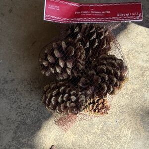 Ashland Gold Glitter Pine Cones